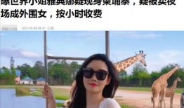 曼谷老白最新爆料视频播放,最新爆料视频深度解析